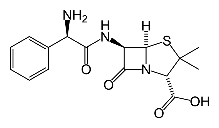 Ampicillin-2D-skeletal.png