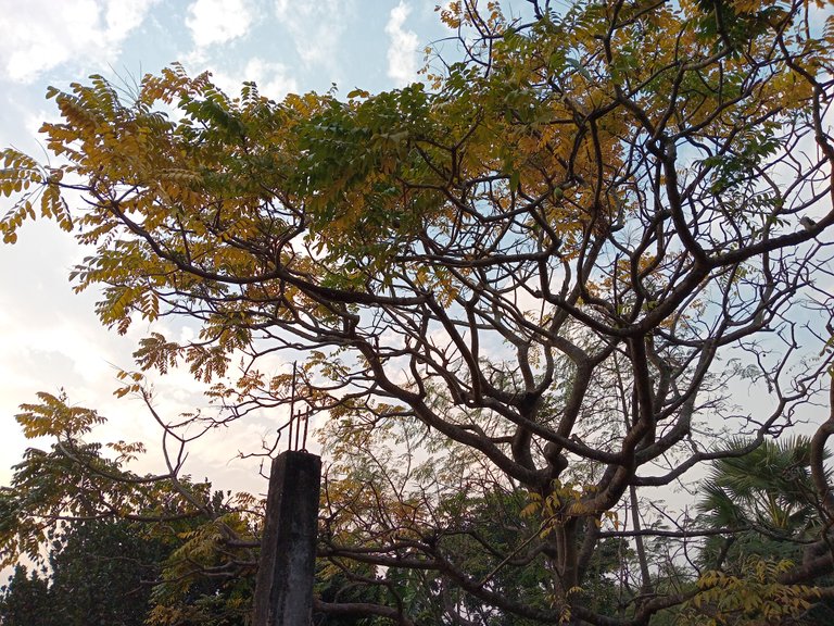 20250112_162613.jpg