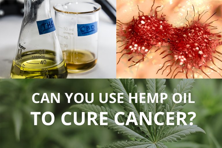 Can-you-use-hemp-oil-to-cure-cancer.jpg