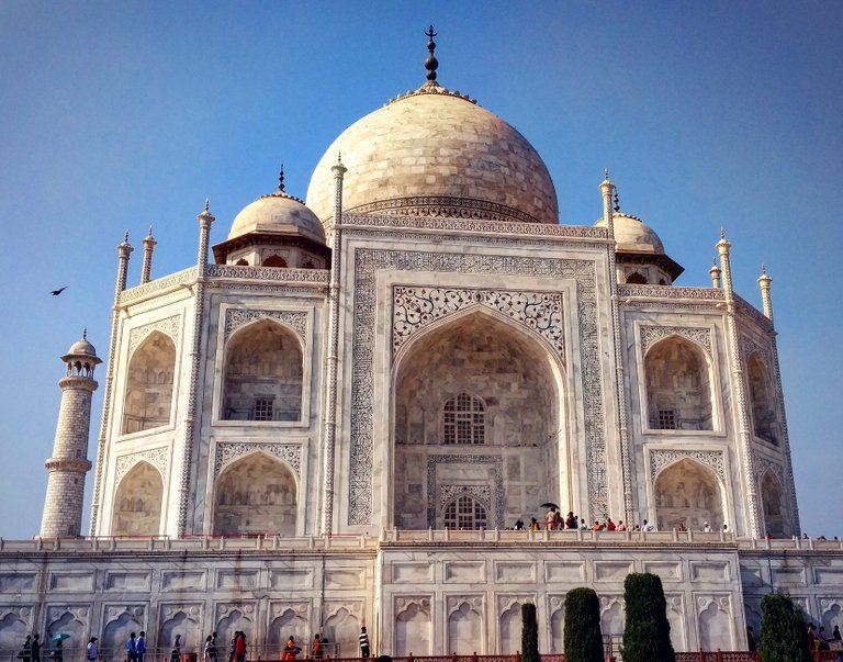 Taj 1.jpeg