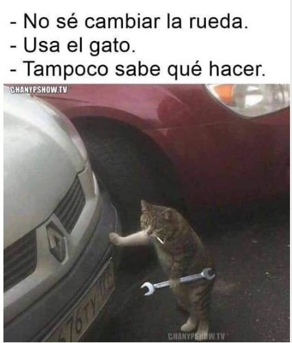 gato mecanico.JPG