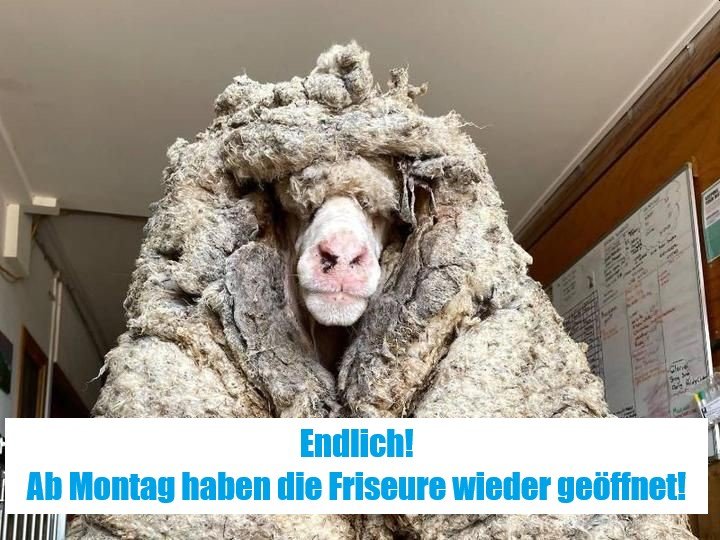 Zwischenablage01.jpg