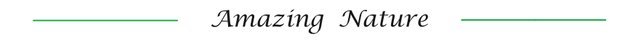 3W72119s5BjVs3Hye1oHX44R9EcpQD5C9xXzj68nJaq3Ce7oSuqFzJKHvCUGkA8eHQACmJL9zQB8MzKt9BYpwAuRhayontSxmqeQtmKSJ7pGT4N2kab6Wa.jpeg