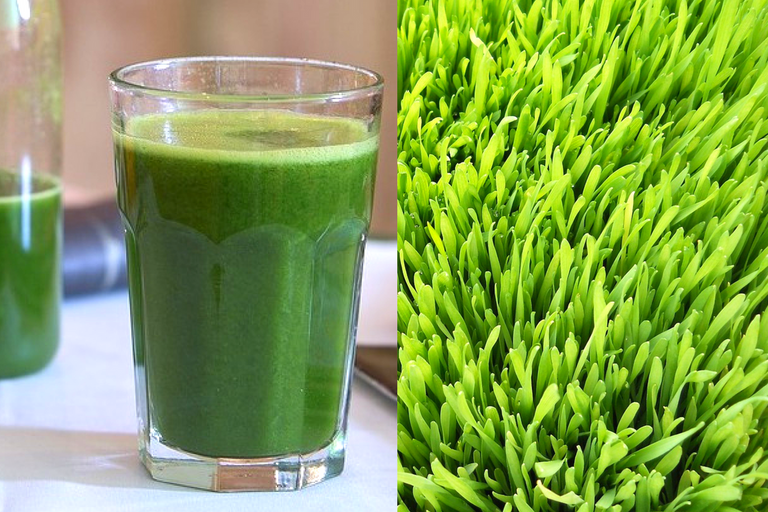 40 significant benefits of wheatgrass.png