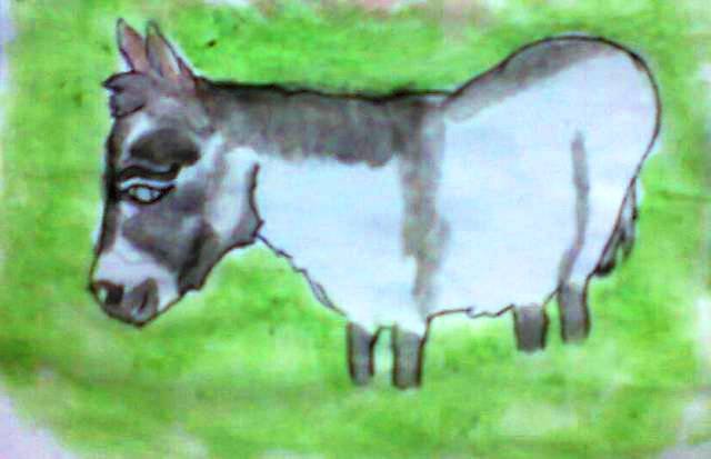 burro chiquito2.jpg