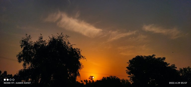 IMG_20220429_055747.jpg