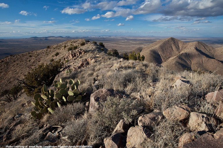 NewMexico-001-071518.jpg