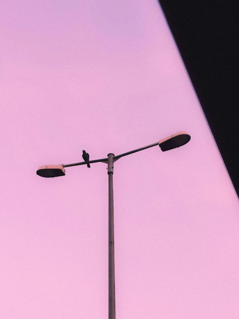 1000154361.jpg