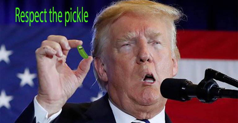 respect the pickle.jpg