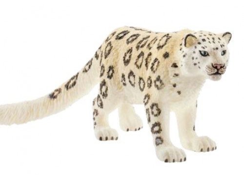 14838 Snow Leopard.jpg