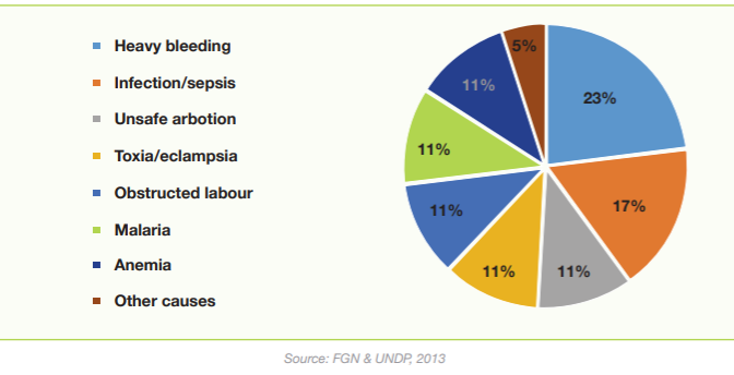 maternal deaths in nigeria.png