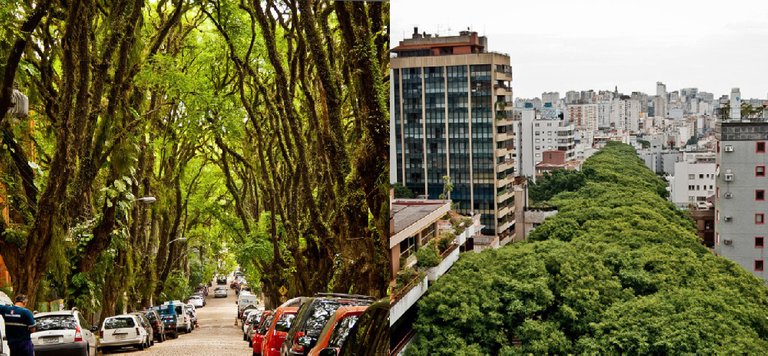 Street-in-Porto-Alegre.jpg