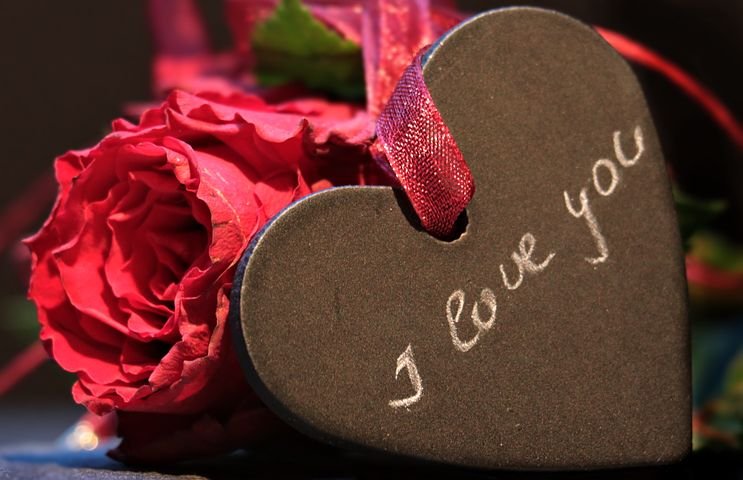 heart-3215210__480.jpg