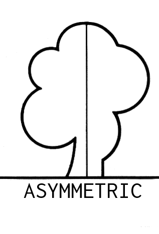 Asymmetrical.png
