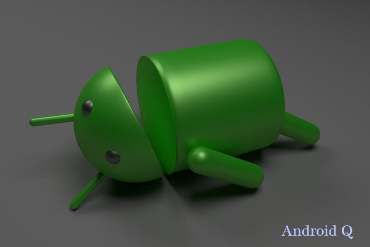 Android Q.jpg