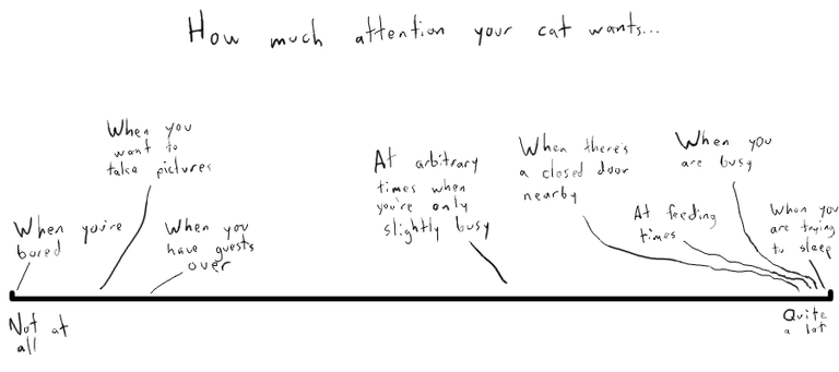 197CatAttention.png