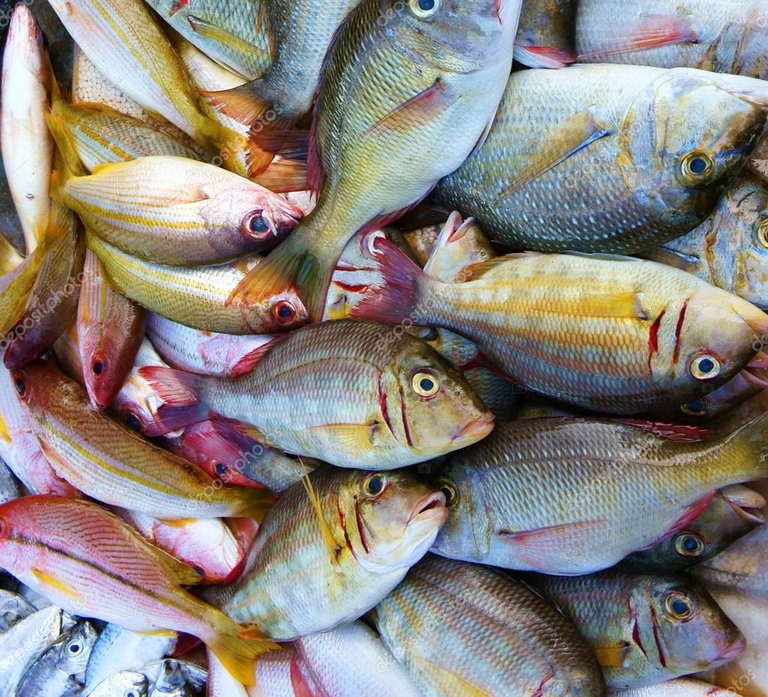 depositphotos_57085811-stock-photo-fresh-seafood-vietnam-fish-market.jpg