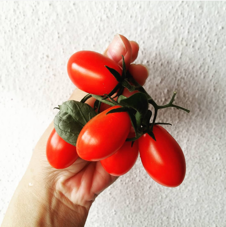 Cherry Tomatoes.png