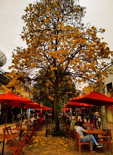 IMG_20190508_163351212_HDR.jpg