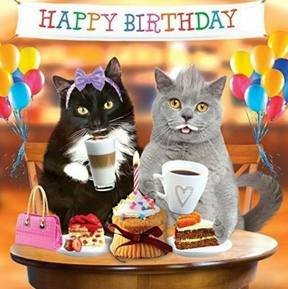 Cat-Happy-Birthday.jpg