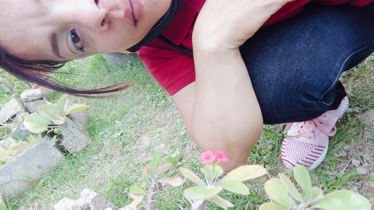 B612_20211021_162028_572.jpg