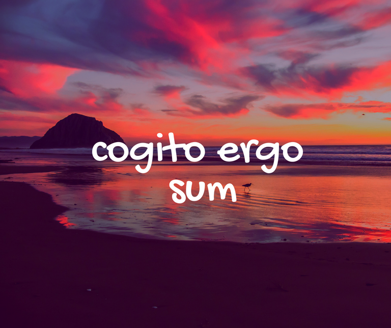 cogito ergo sum.png