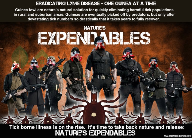 EXPENDABLES1.jpg