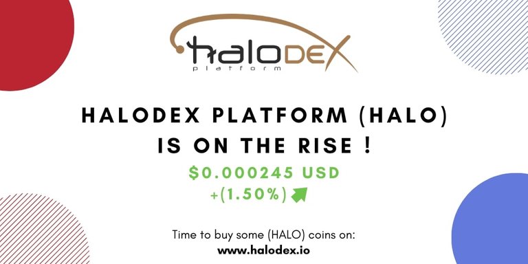 HALODEX PLATFORM ON THE RISE 22 JAN.jpg