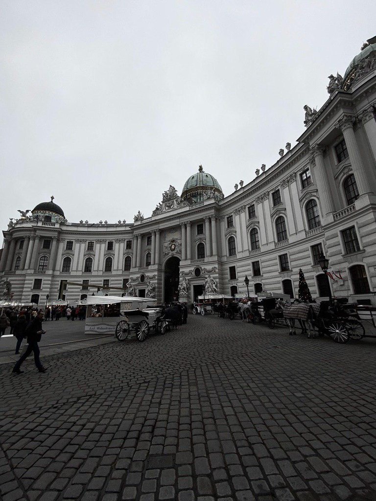 hofburg bw nov.jpg