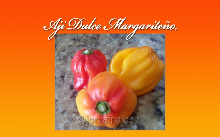 AJI DULCE MARGARITEÑO.jpg