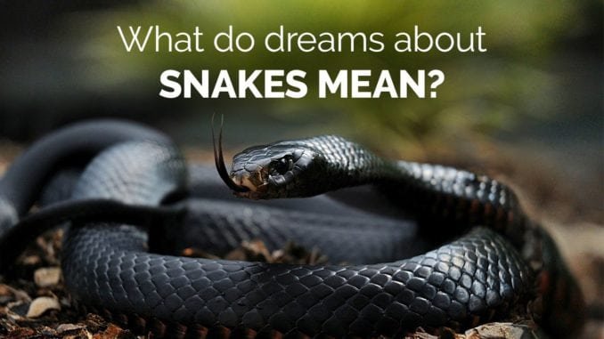 dreams-about-snakes-mean-678x381.jpg