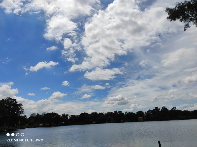 IMG_20220814_132737.jpg