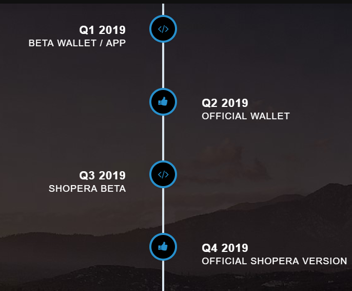 payera roadmap2.png