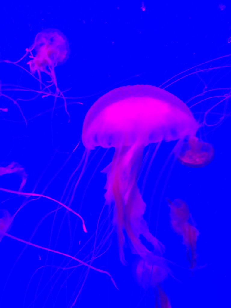IMG_20180722_114628.jpg