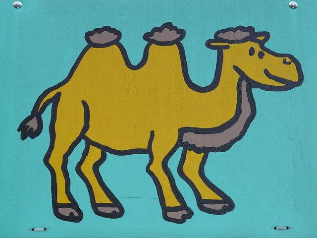 camel-16422_640.jpg