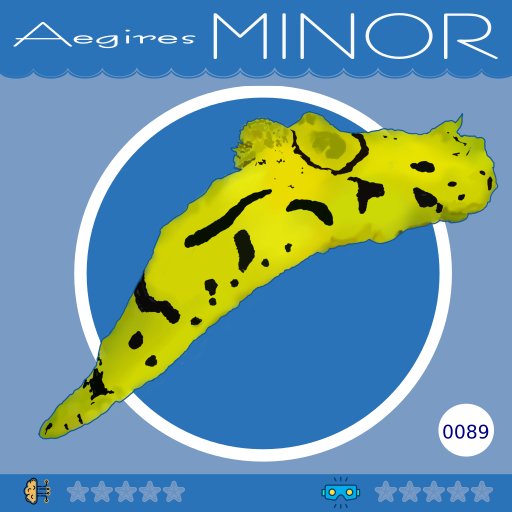 0089-AegiresMinor.png