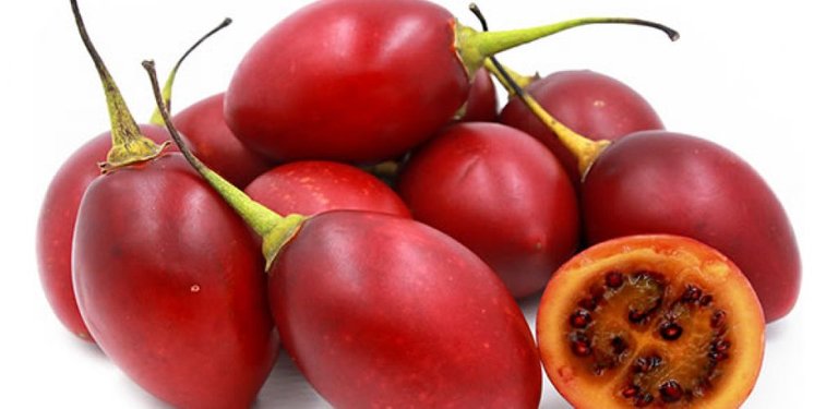 Tamarillo_Preciado_G.-1024x500_c.jpg