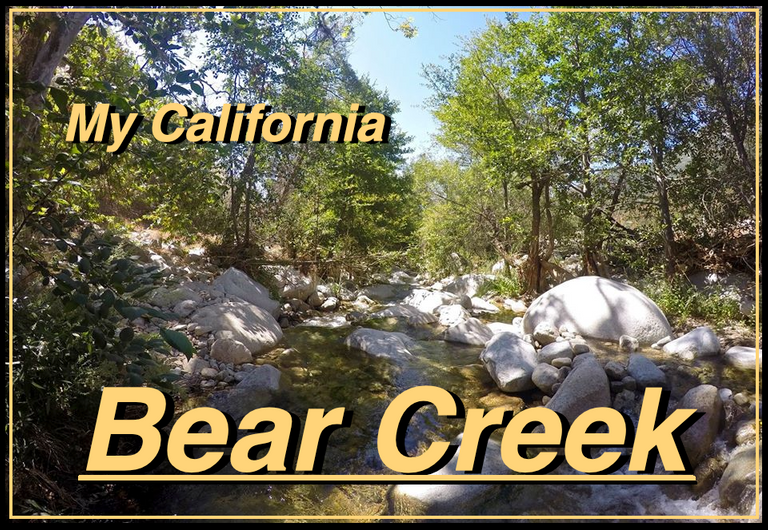 bear creek cover.png