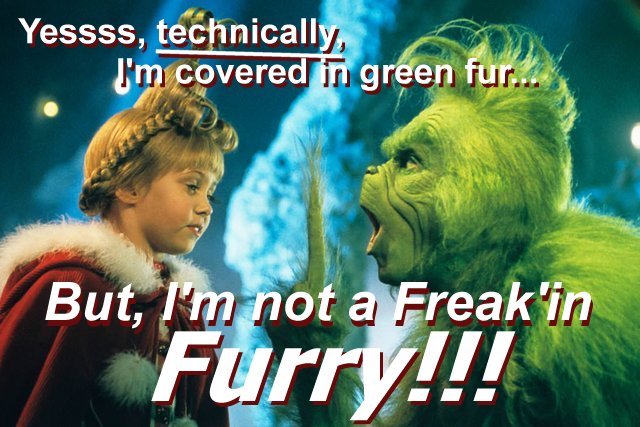 GRINCHFURRY.jpg