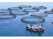 United States Aquaculture Market Report 2018.jpg