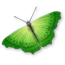 butterfly.png