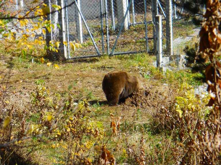 DSCN9677.jpg