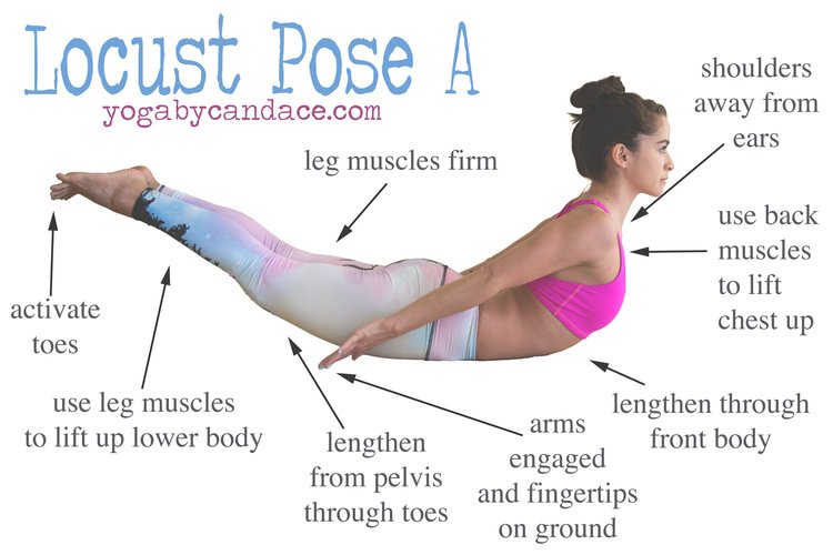 how-to-do-locust-pose-a.jpg