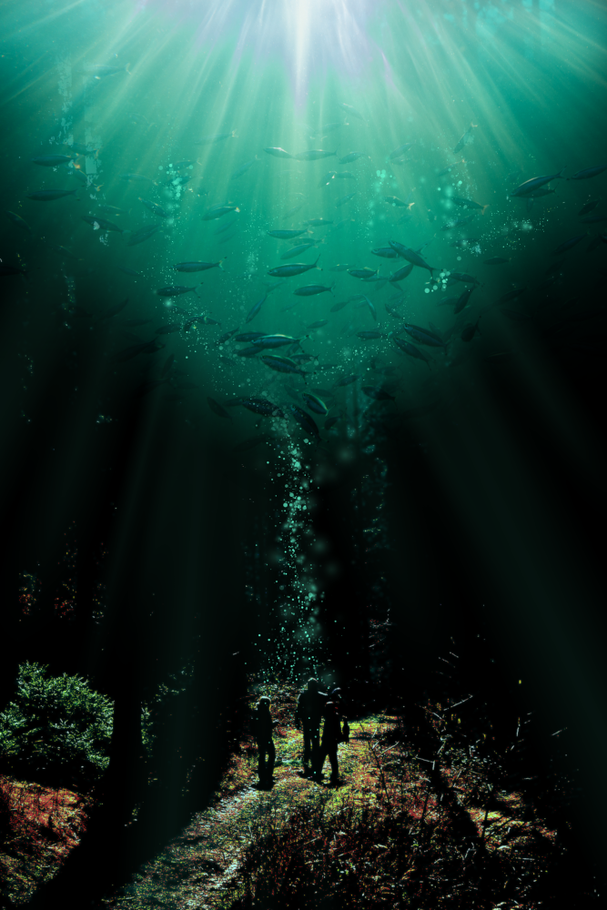 steemit forest in the sea.png