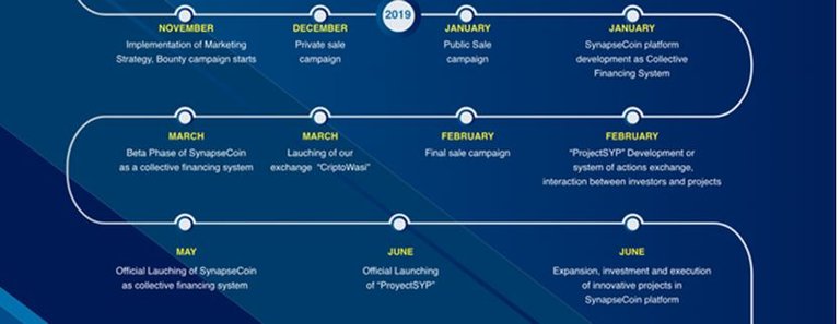 synapsecoin road map.JPG