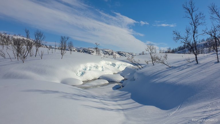 Nygårdsfjellet.jpg