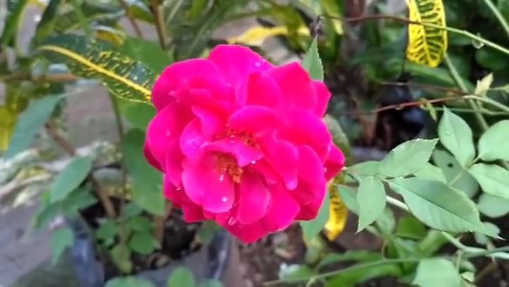 VideoCapture_20190811-165440.jpg