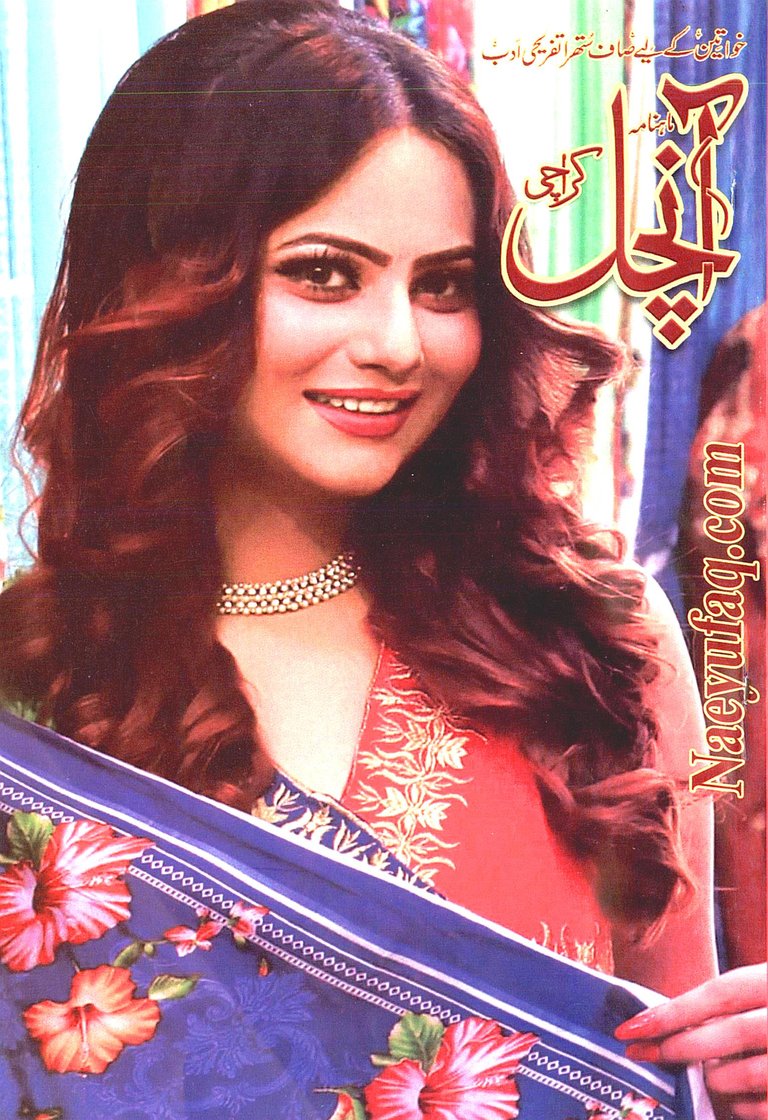 Aanchal Digest November 2019.jpg