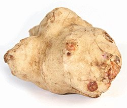 4_1_1_jerusalem_artichoke.jpg