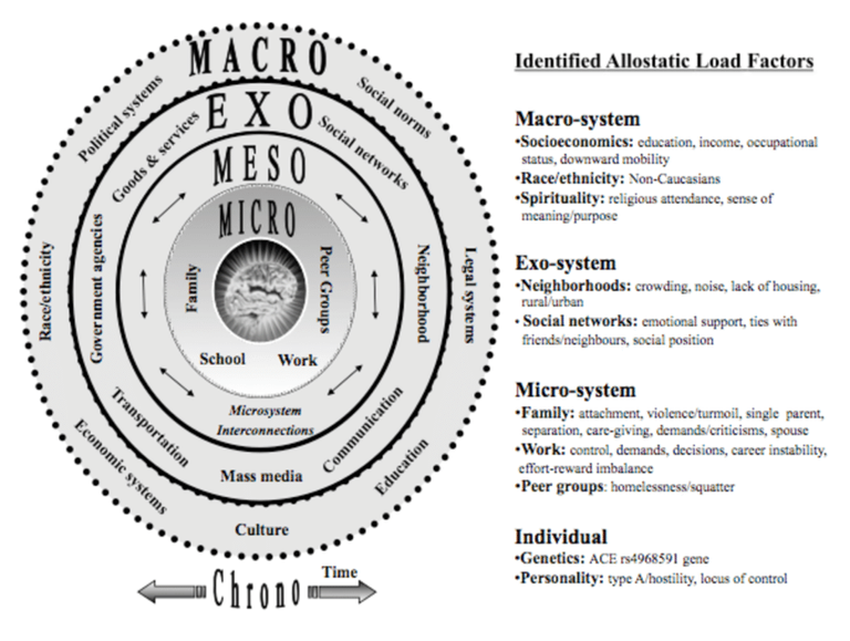 Figure-D-An-ecological-systems-model-of-identified-allostatic-load-antecedents-The.png